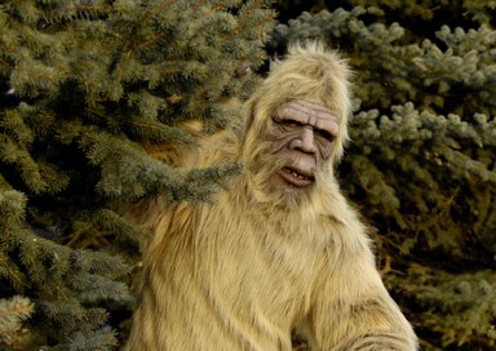 Bigfoot
